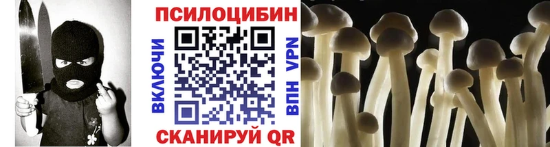 даркнет клад  Тимашёвск  Псилоцибиновые грибы GOLDEN TEACHER 
